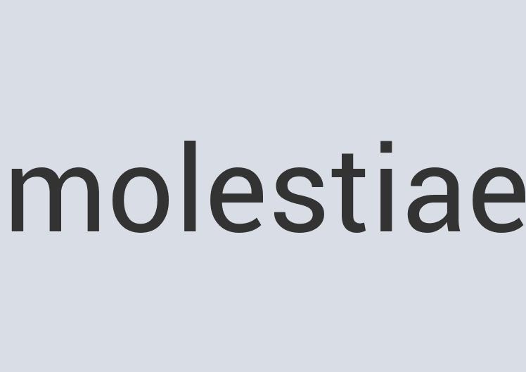 Heavy Duty Plastic NuPhoney