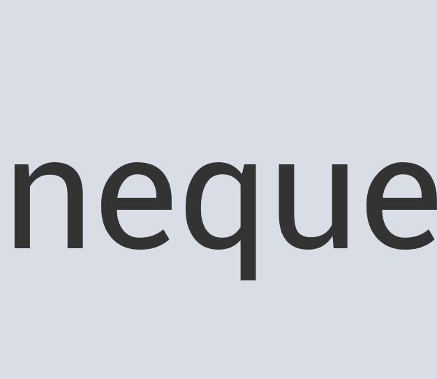 Practical Leather Botox Detox