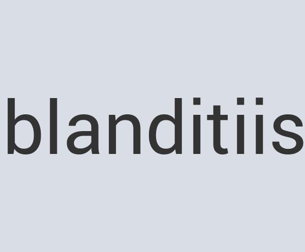 Enormous Cotton Smart Cream