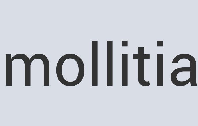 Fantastic Leather Scissor Fresh