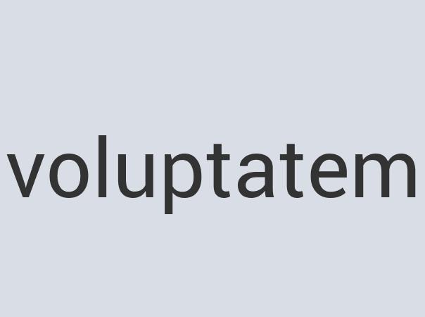 Practical Plastic Nose Curtains